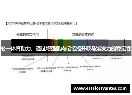 必一体育助力，通过增强肌肉记忆提升鞍马爆发力的稳定性